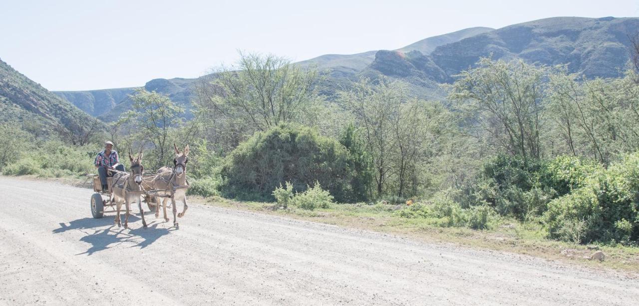 Sederkloof Lodge Studtis Bagian luar foto